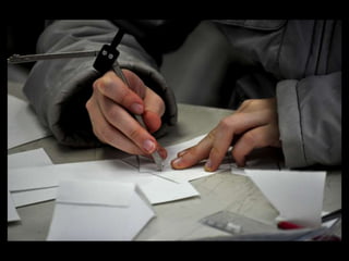 Iic un giorno-tra_tanti light