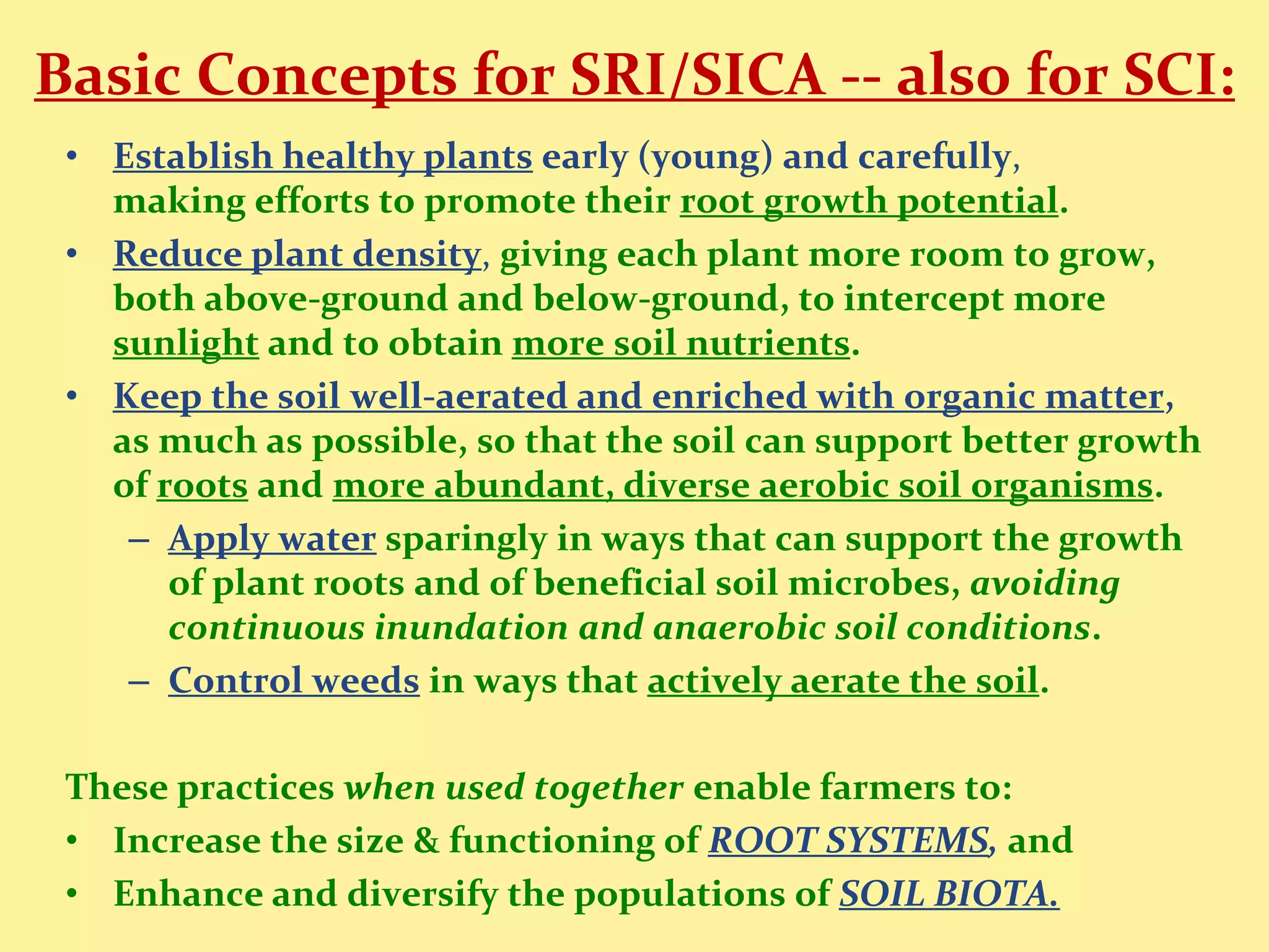 Basic Concepts for SRI/SICA -- also for SCI:
 • Establish healthy plants early (young) and carefully,
   making efforts to promote their root growth potential.
 • Reduce plant density, giving each plant more room to grow,
   both above-ground and below-ground, to intercept more
   sunlight and to obtain more soil nutrients.
 • Keep the soil well-aerated and enriched with organic matter,
   as much as possible, so that the soil can support better growth
   of roots and more abundant, diverse aerobic soil organisms.
    – Apply water sparingly in ways that can support the growth
       of plant roots and of beneficial soil microbes, avoiding
       continuous inundation and anaerobic soil conditions.
    – Control weeds in ways that actively aerate the soil.

 These practices when used together enable farmers to:
 • Increase the size & functioning of ROOT SYSTEMS, and
 • Enhance and diversify the populations of SOIL BIOTA.
 