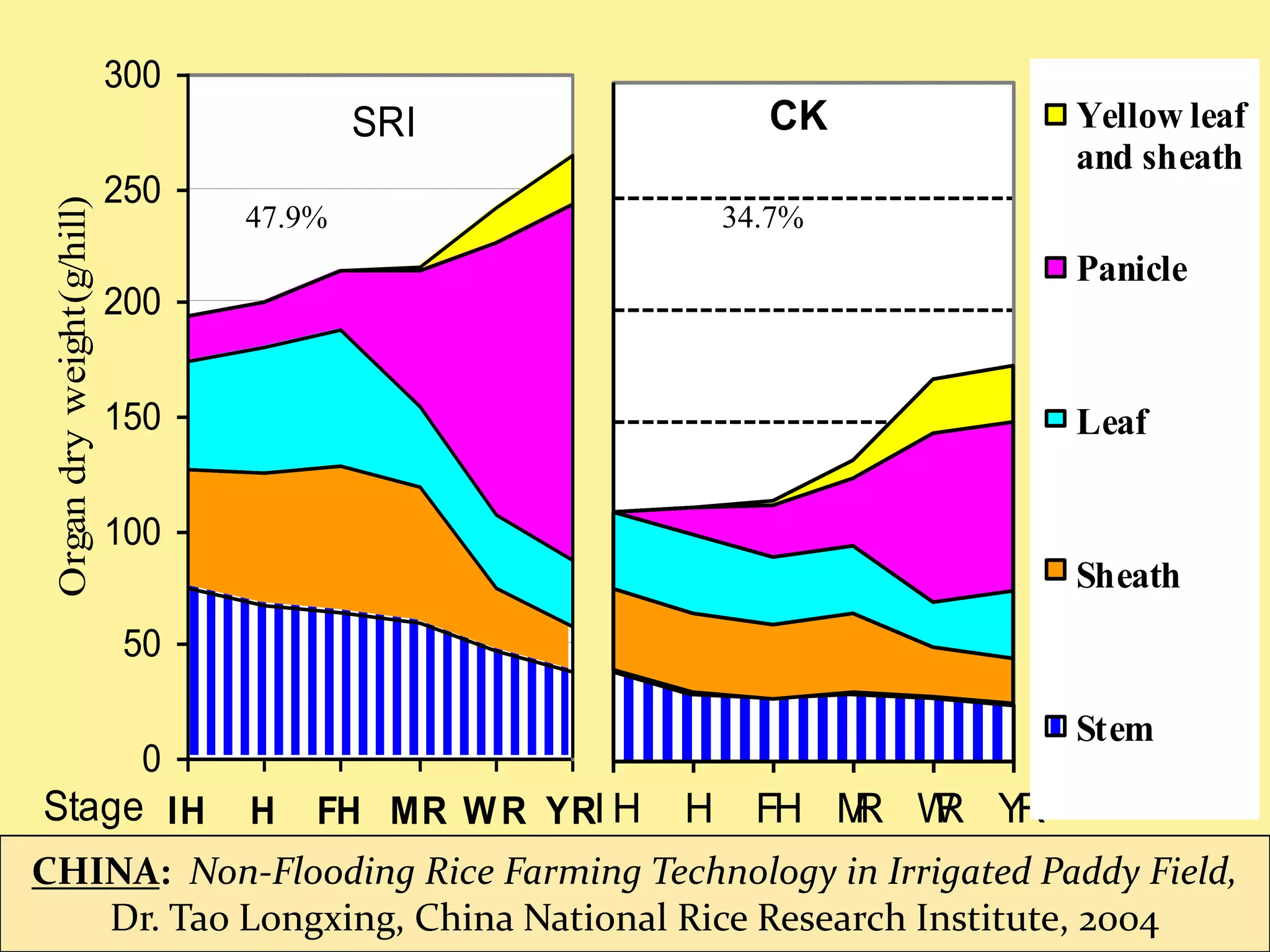 300
                                          SRI                 CK          Yellow leaf
                                                                          and sheath
                            250
 Organ dry weight(g/hill)


                                  47.9%                     34.7%
                                                                          Panicle
                            200


                            150                                           Leaf

                            100
                                                                          Sheath
                            50

                                                                          Stem
                             0
Stage IH                          H   FH MR W R YRI H   H     FH M W Y
                                                                  R R R
CHINA: Non-Flooding Rice Farming Technology in Irrigated Paddy Field,
   Dr. Tao Longxing, China National Rice Research Institute, 2004
 