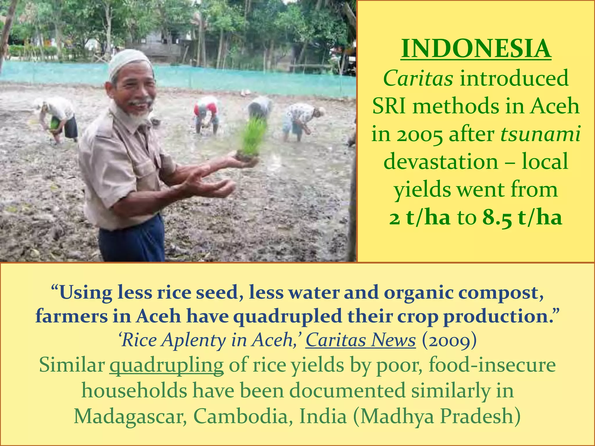INDONESIA
                                     Caritas introduced
                                    SRI methods in Aceh
                                    in 2005 after tsunami
                                     devastation – local
                                       yields went from
                                      2 t/ha to 8.5 t/ha


   “Using less rice seed, less water and organic compost,
 farmers in Aceh have quadrupled their crop production.”
          ‘Rice Aplenty in Aceh,’ Caritas News (2009)
 Similar quadrupling of rice yields by poor, food-insecure
households have been documented similarly in Madagascar,
           Cambodia, India (Madhya Pradesh)
 
