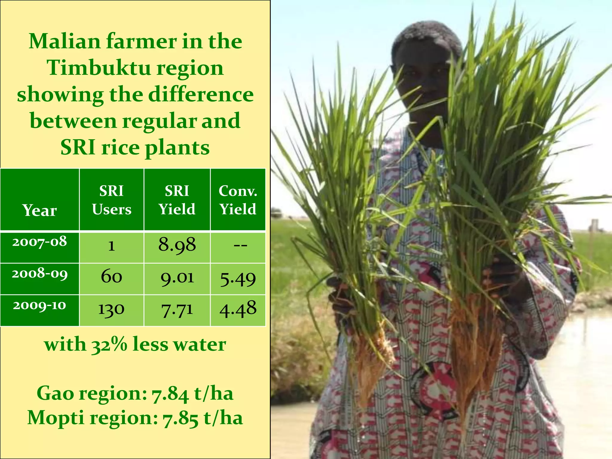 Malian farmer in the
  Timbuktu region
showing the difference
 between regular and
    SRI rice plants
           SRI     SRI    Conv.
 Year     Users   Yield   Yield

2007-08     1     8.98     --
2008-09    60     9.01    5.49
2009-10   130     7.71    4.48
    with 32% less water

  Gao region: 7.84 t/ha
 Mopti region: 7.85 t/ha
 