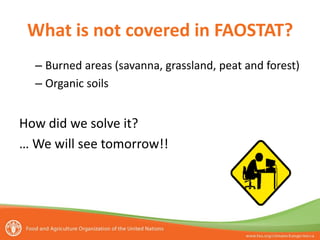 What is not covered in FAOSTAT?
– Burned areas (savanna, grassland, peat and forest)
– Organic soils
How did we solve it?
… We will see tomorrow!!
 