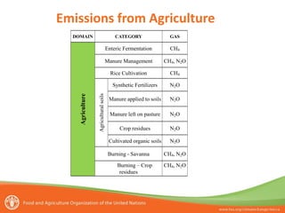 Emissions from Agriculture
DOMAIN CATEGORY GAS
Agriculture
Enteric Fermentation CH4
Manure Management CH4, N2O
Rice Cultivation CH4
Agriculturalsoils
Synthetic Fertilizers N2O
Manure applied to soils N2O
Manure left on pasture N2O
Crop residues N2O
Cultivated organic soils N2O
Burning - Savanna CH4, N2O
Burning – Crop
residues
CH4, N2O
 