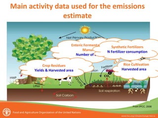 From IPCC, 2006
Main activity data used for the emissions
estimate
Rice Cultivation
Harvested area
Enteric Fermentation
Manure
Number of animals
Synthetic Fertilizers
N Fertilizer consumption
Crop Residues
Yields & Harvested area
 