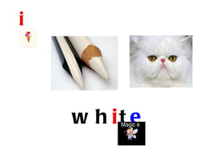 i




    w h it e
 