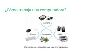 ¿Cómo trabaja una computadora?
Componentes esenciales de una computadora
 