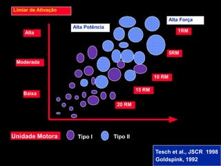 Limiar de Ativação
                                                               Alta Força
                     Alta Potência
    Alta                                                          1RM



                                                               5RM
 Moderada


                                                       10 RM

                                               15 RM
    Baixa

                                      20 RM




Unidade Motora         Tipo I        Tipo II

                                                       Tesch et al., JSCR 1998
                                                       Goldspink, 1992
 