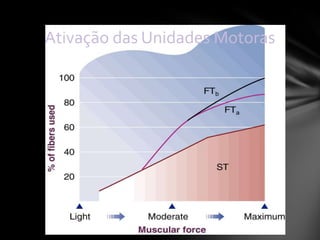 Ativação das Unidades Motoras
 