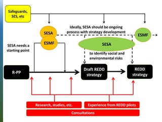 R-PP
Draft REDD
strategy
REDD
strategy
SESA
SESA needs a
starting point
to identify social and
environmental risks
Ideally...