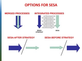 REDD+
STRATEGY
SESA
INTEGRATED PROCESSESMERGED PROCESSES
OPTIONS FOR SESA
SESA AFTER STRATEGY SESA BEFORE STRATEGY
 