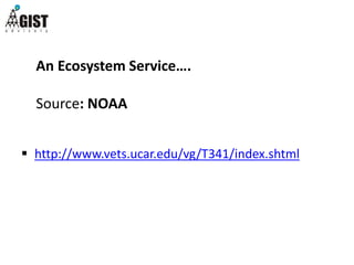 An Ecosystem Service….
Source: NOAA
 http://www.vets.ucar.edu/vg/T341/index.shtml
 