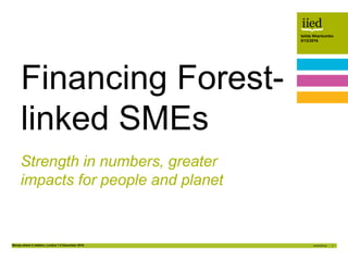 Money where it matters, London 7-8 December 2016 1
Isilda Nhantumbo
8/12/2016Author name
Date
Isilda Nhantumbo
8/12/2016
Strength in numbers, greater
impacts for people and planet
Financing Forest-
linked SMEs
 