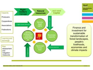 Money where it matters, London 7-8 December 2016 3
Isilda Nhantumbo
8/12/2016
Aggregation
quantity, quality, time
Marketin...