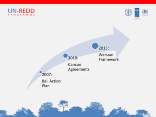 2007:
Bali Action
Plan
2010:
Cancun
Agreements
2013:
Warsaw
Framework
 