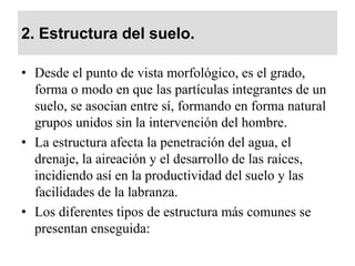 2. Estructura del suelo.
• Desde el punto de vista morfológico, es el grado,
forma o modo en que las partículas integrantes de un
suelo, se asocian entre sí, formando en forma natural
grupos unidos sin la intervención del hombre.
• La estructura afecta la penetración del agua, el
drenaje, la aireación y el desarrollo de las raíces,
incidiendo así en la productividad del suelo y las
facilidades de la labranza.
• Los diferentes tipos de estructura más comunes se
presentan enseguida:
 