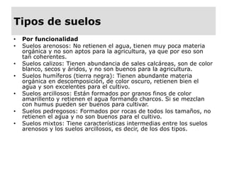 Tipos de suelos
• Por funcionalidad
• Suelos arenosos: No retienen el agua, tienen muy poca materia
orgánica y no son aptos para la agricultura, ya que por eso son
tan coherentes.
• Suelos calizos: Tienen abundancia de sales calcáreas, son de color
blanco, secos y áridos, y no son buenos para la agricultura.
• Suelos humíferos (tierra negra): Tienen abundante materia
orgánica en descomposición, de color oscuro, retienen bien el
agua y son excelentes para el cultivo.
• Suelos arcillosos: Están formados por granos finos de color
amarillento y retienen el agua formando charcos. Si se mezclan
con humus pueden ser buenos para cultivar.
• Suelos pedregosos: Formados por rocas de todos los tamaños, no
retienen el agua y no son buenos para el cultivo.
• Suelos mixtos: Tiene características intermedias entre los suelos
arenosos y los suelos arcillosos, es decir, de los dos tipos.
 