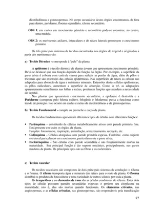 dicotiledôneas e gimnospermas. No corpo secundário destes órgãos encontramos, de fora 
para dentro, periderme, floema secundário, xilema secundário. 
OBS 1: em caules em crescimento primário e secundário pode-se encontrar, no centro, 
27 
uma medula. 
OBS 2: os meristemas axilares, intercalares e de raízes laterais promovem o crescimento 
primário 
Os três principais sistemas de tecidos encontrados nos órgãos do vegetal e originados a 
partir dos meristemas são: 
a) Tecido Dérmico - corresponde à “pele” da planta 
A epiderme é o tecido dérmico de plantas jovens que apresentam crescimento primário. 
Deve-se destacar que sua função depende da função do órgão. Por exemplo, a superfície da 
parte aérea é coberta com cutícula cerosa para reduzir as perdas de água, além de pêlos e 
tricomas que são extensões das células epidérmicas. Nas superfícies de raízes as células são 
adaptadas para absorção de água e nutrientes minerais. Extensões destas células epidérmicas, 
os pêlos radiculares, aumentam a superfície de absorção. Como se vê, as adaptações 
aparentemente semelhantes nas folhas e raízes, produzem funções que atendem a necessidade 
do vegetal. 
Nas plantas que apresentam crescimento secundário, a epiderme é destruída e a 
Periderme (composta pelo felema (súber), felogênio e feloderma) passa a funcionar como 
tecido de proteção. Isso ocorre em caules e raízes de dicotiledôneas e de gimnospermas. 
b) Tecido Fundamental - compõe ou preenche o corpo da planta. 
Os tecidos fundamentais apresentam diferentes tipos de células com diferentes funções: 
• Parênquima – constituído de células metabolicamente ativas com parede primária fina. 
Está presente em todos os órgãos da planta. 
Funções: fotossíntese, respiração, assimilação, armazenamento, secreção, etc. 
• Colênquima – Células alongadas com parede primária espessa. Contribui como suporte 
estrutural para plantas em crescimento, particularmente a parte aérea. 
• Esclerênquima – São células com parede secundária e são freqüentemente mortas na 
maturidade. Sua principal função é dar suporte mecânico, principalmente, nas partes 
maduras da planta. Os principais tipos são as fibras e os esclereides. 
c) Tecido vascular 
Os tecidos vasculares são compostos de dois principais sistemas de condução: o xilema 
e o floema. O xilema transporta água e minerais das raízes para o resto da planta. O floema 
distribui os produtos da fotossíntese e uma variedade de outros solutos por toda a planta. 
Os traqueídeos e os elementos de vaso são as células condutoras do xilema. Estes dois 
tipos de células possuem paredes secundárias espessas e perdem seu citoplasma na 
maturidade; isto é, elas são mortas quando funcionais. Os elementos crivados, nas 
angiospermas, e as células crivadas, nas gimnospermas, são responsáveis pela translocação 
 
