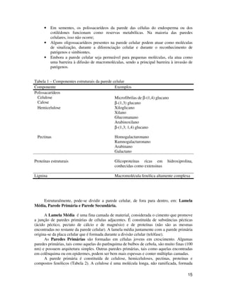 • Em sementes, os polissacarídeos da parede das células do endosperma ou dos 
cotilédones funcionam como reservas metabólicas. Na maioria das paredes 
celulares, isso não ocorre; 
• Alguns oligossacarídeos presentes na parede celular podem atuar como moléculas 
de sinalização, durante a diferenciação celular e durante o reconhecimento de 
patógenos e simbiontes. 
• Embora a parede celular seja permeável para pequenas moléculas, ela atua como 
uma barreira à difusão de macromoléculas, sendo a principal barreira à invasão de 
patógenos. 
15 
Tabela 1 – Componentes estruturais da parede celular 
Componente Exemplos 
Polissacarídeos 
Celulose 
Calose 
Microfibrilas de b-(1,4) glucano 
b-(1,3) glucano 
Hemicelulose Xiloglicano 
Xilano 
Glucomanano 
Arabinoxilano 
b-(1,3; 1,4) glucano 
Pectinas Homogalacturonano 
Ramnogalacturonano 
Arabinano 
Galactano 
Proteínas estruturais Glicoproteínas ricas em hidroxiprolina, 
conhecidas como extensinas 
Lignina Macromolécula fenólica altamente complexa 
Estruturalmente, pode-se dividir a parede celular, de fora para dentro, em: Lamela 
Média, Parede Primária e Parede Secundária. 
A Lamela Média é uma fina camada de material, considerada o cimento que promove 
a junção de paredes primárias de células adjacentes. É constituída de substâncias pécticas 
(ácido péctico, pectato de cálcio e de magnésio) e de proteínas (não são as mesmas 
encontradas no restante da parede celular). A lamela média juntamente com a parede primária 
origina-se da placa celular que é formada durante a divisão celular (telófase). 
As Paredes Primárias são formadas em células jovens em crescimento. Algumas 
paredes primárias, tais como aquelas do parênquima de bulbos de cebola, são muito finas (100 
nm) e possuem arquitetura simples. Outras paredes primárias, tais como aquelas encontradas 
em colênquima ou em epidermes, podem ser bem mais espessas e conter múltiplas camadas. 
A parede primária é constituída de celulose, hemiceluloses, pectinas, proteínas e 
compostos fenólicos (Tabela 2). A celulose é uma molécula longa, não ramificada, formada 
 