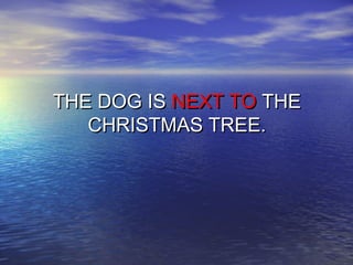 Iñigo carcar..the prepositions of place | PPS