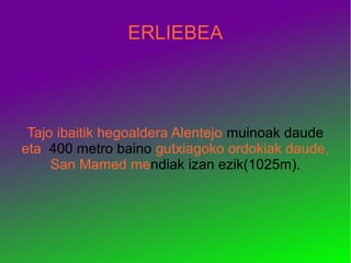 ERLIEBEA




 Tajo ibaitik hegoaldera Alentejo muinoak daude
eta 400 metro baino gutxiagoko ordokiak daude,
     San Mamed mendiak izan ezik(1025m).
 
