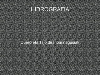 HIDROGRAFIA




Duero eta Tajo dira ibai nagusiak
 