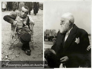 Prisioneros judíos en Auschwitz
 