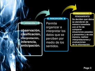 Ii habilidadesd cognitivas