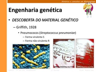 Histórico e conceitos em Biotecnologia




Engenharia genética
• DESCOBERTA DO MATERIAL GENÉTICO
      – Griffith, 1928
            • Pneumococos (Streptococcus pneumoniae)
                  – Forma virulenta S
                  – Forma não-virulenta R




Ciências – 9º ano Ens. Fundamental          2º Período                       Profa. Rebeca Vale
 