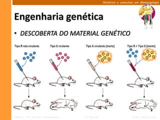 Histórico e conceitos em Biotecnologia




Engenharia genética
• DESCOBERTA DO MATERIAL GENÉTICO




Ciências – 9º ano Ens. Fundamental   2º Período                       Profa. Rebeca Vale
 