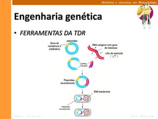 Histórico e conceitos em Biotecnologia




Engenharia genética
• FERRAMENTAS DA TDR




Ciências – 9º ano Ens. Fundamental   2º Período                       Profa. Rebeca Vale
 