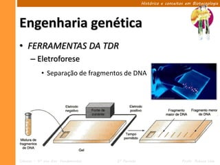 Histórico e conceitos em Biotecnologia




Engenharia genética
• FERRAMENTAS DA TDR
      – Eletroforese
            • Separação de fragmentos de DNA




Ciências – 9º ano Ens. Fundamental   2º Período                       Profa. Rebeca Vale
 