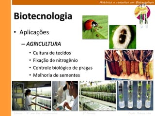 Histórico e conceitos em Biotecnologia




Biotecnologia
• Aplicações
      – AGRICULTURA
            •   Cultura de tecidos
            •   Fixação de nitrogênio
            •   Controle biológico de pragas
            •   Melhoria de sementes




Ciências – 9º ano Ens. Fundamental     2º Período                       Profa. Rebeca Vale
 