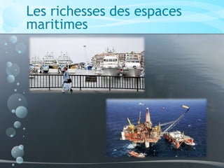 Les richesses des espaces
maritimes
 