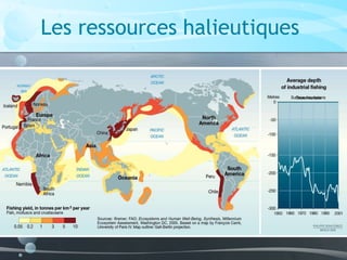 Les ressources halieutiques
 