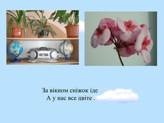 За вікном сніжок іде
А у нас все цвіте .
 