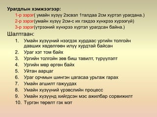 Урагдлын хэмжээгээр:
1-р зэрэг( умайн хүзүү 2эсвэл 1талдаа 2см хүртэл урагдана.)
2-р зэрэг(умайн хүзүү 2см-с их гэхдээ хүнхрээ хүрээгүй)
3-р зэрэг(үтрээний хүнхрээ хүртэл урагдсан байна.)
Шалтгаан:
1. Умайн хүзүүний нээгдэх хурдаас ургийн толгойн
давших хөдөлгөөн илүү хурдтай байсан
2. Ураг хэт том байх
3. Ургийн толгойн зөв биш тавилт, түрүүлэлт
4. Ургийн мөр өргөн байх
5. Уйтан аарцаг
6. Ураг орчмын шингэн цагасаа урьтаж гарах
7. Умайн агшилт гажуудах
8. Умайн хүзүүний үрэвслийн процесс
9. Умайн хүзүүнд хийгдсэн мэс ажилбар сорвижилт
10. Түргэн төрөлт гэх мэт
 