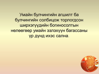 Умайн булчингийн агшилт ба
булчингийн солбицож торлогдсон
ширхэгүүдийн богиносолтын
нөлөөгөөр умайн эзлэхүүн багассаны
үр дүнд ихэс сална.
 