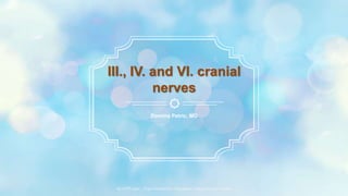 ALLPPT.com _ Free PowerPoint Templates, Diagrams and Charts
Domina Petric, MD
III., IV. and VI. cranial
nerves
 