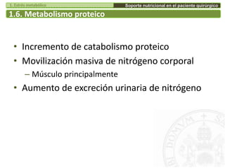1.6. Metabolismo proteico
• Incremento de catabolismo proteico
• Movilización masiva de nitrógeno corporal
– Músculo principalmente
• Aumento de excreción urinaria de nitrógeno
Soporte nutricional en el paciente quirúrgico1. Estrés metabólico
 