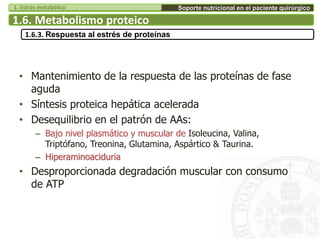 • Mantenimiento de la respuesta de las proteínas de fase
aguda
• Síntesis proteica hepática acelerada
• Desequilibrio en el patrón de AAs:
– Bajo nivel plasmático y muscular de Isoleucina, Valina,
Triptófano, Treonina, Glutamina, Aspártico & Taurina.
– Hiperaminoaciduria
• Desproporcionada degradación muscular con consumo
de ATP
1.6. Metabolismo proteico
1.6.3. Respuesta al estrés de proteínas
Soporte nutricional en el paciente quirúrgico1. Estrés metabólico
 
