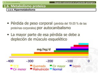  Pérdida de peso corporal (pérdida del 10-20 % de las
proteínas corporales) por autocanibalismo
 La mayor parte de esa pérdida se debe a
depleción de músculo esquelético
-400 -300 -200 -100 0
TCE Quemado Cir mayor Sepsis
Cir menor Malnutrición Normal
mg/kg/d
1.6. Metabolismo proteico
1.6.4. Hipermetabolismo
Soporte nutricional en el paciente quirúrgico1. Estrés metabólico
 