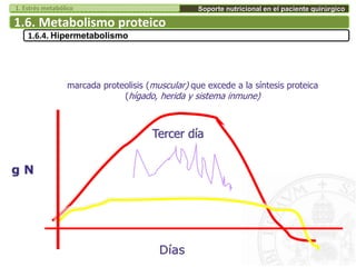 Días
g N
Tercer día
marcada proteolisis (muscular) que excede a la síntesis proteica
(hígado, herida y sistema inmune)
1.6. Metabolismo proteico
1.6.4. Hipermetabolismo
Soporte nutricional en el paciente quirúrgico1. Estrés metabólico
 