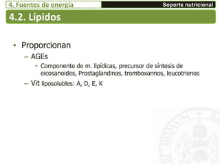 • Proporcionan
– AGEs
• Componente de m. lipídicas, precursor de síntesis de
eicosanoides, Prostaglandinas, tromboxannos, leucotrienos
– Vit liposolubles: A, D, E, K
4.2. Lípidos
Soporte nutricional4. Fuentes de energía
 
