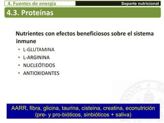 Nutrientes con efectos beneficiosos sobre el sistema
inmune
• L-GLUTAMINA
• L-ARGININA
• NUCLEÓTIDOS
• ANTIOXIDANTES
AARR, fibra, glicina, taurina, cisteina, creatina, econutrición
(pre- y pro-bióticos, sinbióticos + saliva)
4.3. Proteínas
Soporte nutricional4. Fuentes de energía
 