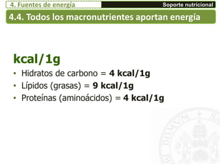 kcal/1g
• Hidratos de carbono = 4 kcal/1g
• Lípidos (grasas) = 9 kcal/1g
• Proteínas (aminoácidos) = 4 kcal/1g
4.4. Todos los macronutrientes aportan energía
Soporte nutricional4. Fuentes de energía
 
