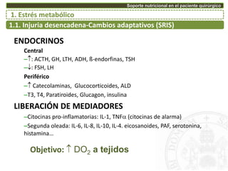 1.1. Injuria desencadena-Cambios adaptativos (SRIS)
1. Estrés metabólico
Soporte nutricional en el paciente quirúrgico
ENDOCRINOS
Central
–: ACTH, GH, LTH, ADH, ß-endorfinas, TSH
–: FSH, LH
Periférico
– Catecolaminas, Glucocorticoides, ALD
–T3, T4, Paratiroides, Glucagon, insulina
LIBERACIÓN DE MEDIADORES
–Citocinas pro-inflamatorias: IL-1, TNF (citocinas de alarma)
–Segunda oleada: IL-6, IL-8, IL-10, IL-4. eicosanoides, PAF, serotonina,
histamina…
Objetivo:  DO2 a tejidos
 