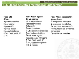1.3. Etapas del estrés metabólico: Cuthbertson
Fase Ebb
Shock
Hipometabolismo
Hipovolemia
Hipotensión
Hipoxia tisular
Hipometabolismo
GC, DO2, VO2, Tª
PA
Fase Flow: aguda
Catabolismo
Hipermetabolismo
glucocorticoides
glucagón
catecolaminas
 Liberación de citocinas
mediadores lípidicos
Prot. Fase aguda
excreción de nitrógeno
 GC, DO2, VO2, Tª
 FR, Gasto energético
(1,5-2 veces)
Fase Flow: adaptación
Anabolismo
 Respuesta hormonal
 respuesta metabólica
Se asocia a recuperación
Restauración de proteínas
corporales
Curación de heridas
Soporte nutricional en el paciente quirúrgico1. Estrés metabólico
 
