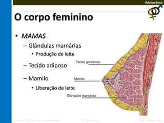 Adolescência




O corpo feminino
 • MAMAS
       – Glândulas mamárias
             • Produção de leite
                                          Tecido gorduroso
       – Tecido adiposo

       – Mamilo                          Mamilo


             • Liberação de leite
                                     Glândulas mamárias




Ciências – 8º ano Ens. Fundamental            3º Bimestre    Profa. Rebeca Vale
 