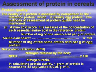 III-1 classification of food 2021-22.ppt