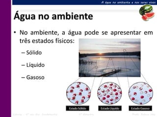 A água no ambiente e nos seres vivos




Água no ambiente
• No ambiente, a água pode se apresentar em
  três estados físicos:
      – Sólido

      – Líquido

      – Gasoso




Ciências – 6º ano Ens. Fundamental   4º Bimestre                       Profa. Rebeca Vale
 